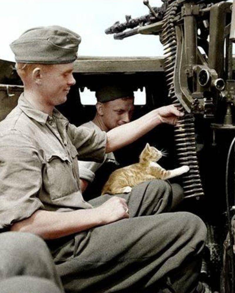 reddit.com/peacockspeacock